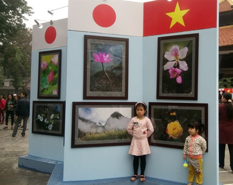 De nombreuses photos sur les fleurs distinguées du Vietnam et du Japon sont présentées.