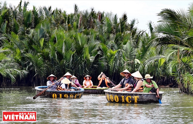 La forêt de cocotiers d’eau de Cam Thanh couvre plus de 100 ha. 
