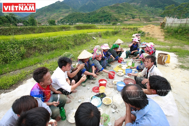Un déjeuner collectif des H’mông auprès des champs en terrasses. 
