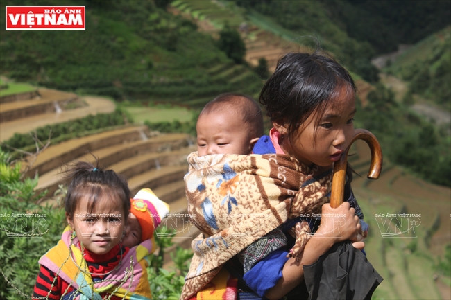 Les enfants suivent leurs parents aux champs