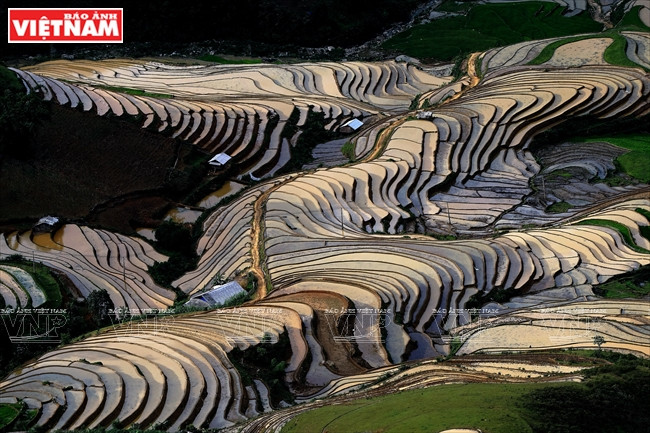 Le ciel et les nuages se reflètent sur les champs en terrasses 