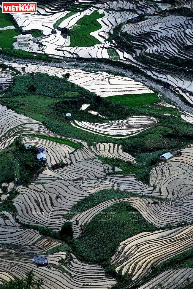 Le miroir céleste étincelle sur les champs en terrasses dans la vallée de Khau Pha. 