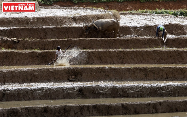 Pendant la saison des pluies, les champs en terrasses sont des aires de distraction pour les enfants du hameau pendant leurs vacances scolaires.