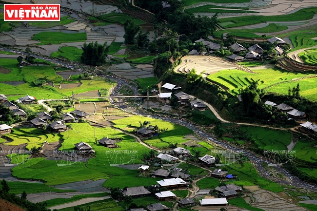 Les champs autour du hameau Lim Thai