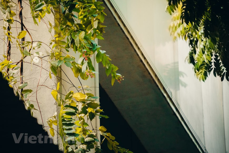 Les rayons dorés de la lumière du soleil rampant à travers chaque auvent font chanter le cœur de n'importe qui.