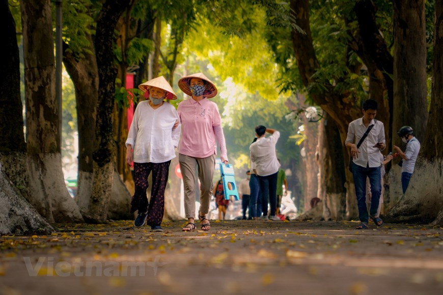 Tous ceux qui sont passés par ce site ont délibérément ralenti un peu pour voir plus de cette scène d'automne romantique.