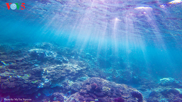 Les cratères sous-marins et les récifs coralliens attirent un grand nombre de touristes qui aiment la plongée sous-marine.