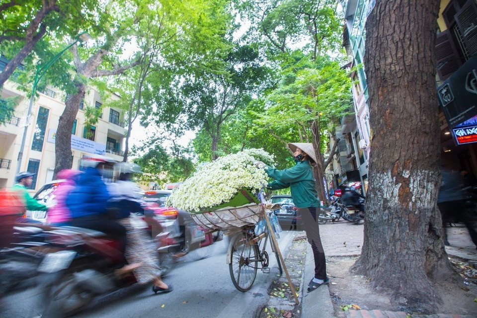 L’image des vélos ​chargés de fleurs ​​font partie de l'histoire de Hanoï.