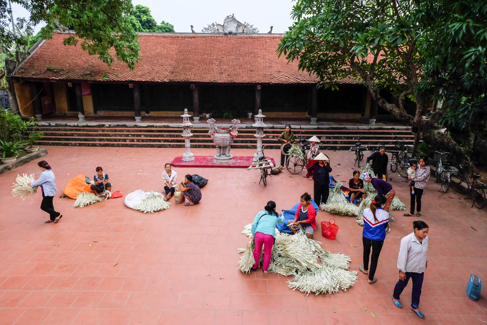  Dès 5 heures du matin, de nombreuses personnes sont présentes au marché avec toutes sortes de produits. Les matières premières pour fabriquer un "nón lá" se vendent au marché. 