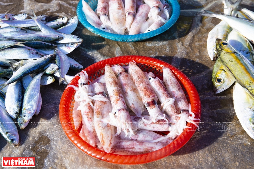 Des calmars à vendre. Photo : Lê Minh