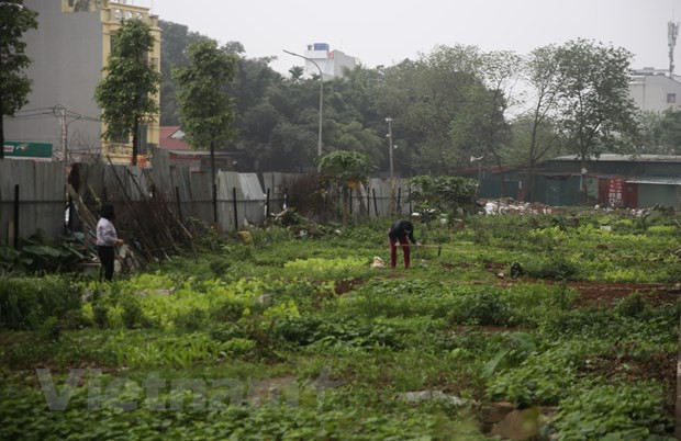 Le Premier ministre Nguyên Xuân Phuc a demandé à tous les citoyens d’observer et de suivre strictement les mesures préventives, de déclarer leur état de santé, de protéger leur propre famille et de coopérer avec les autorités pour lutter contre le COVID-19. Le ministère de la Santé, le ministère de la Police et les Comités populaires de Hanoï et de Hô Chi Minh-Ville sont invités à concentrer tous les moyens pour traiter rapidement et radicalement les foyers épidémiques à l’hôpital Bach Mai à Hanoï et au bar Buddha à Hô Chi Minh-Ville, y compris le traçage des cas à risque et ceux ayant été en contact avec les patients. Photo: Hung Vo/Vietnam+