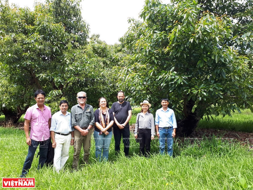 Le comité de propagande de l’association d’arbres fruitiers des zones tempérées de la province de Son La comprend Mai Duc Thinh, directeur de la coopérative 19 Mai, Ha Van Lan, directeur du Centre d’espèces végétales, d’élevage et de produits aquatiques de Son La), Pham Van Quyêt, propriétaire de la ferme Quyet Thanh et Mme Cam Thi Phong, directrice adjointe du service de l’Agriculture et du Développement rural de la province de Son La, en mission en Australie en 2018. Photo : archives d’ACIAR