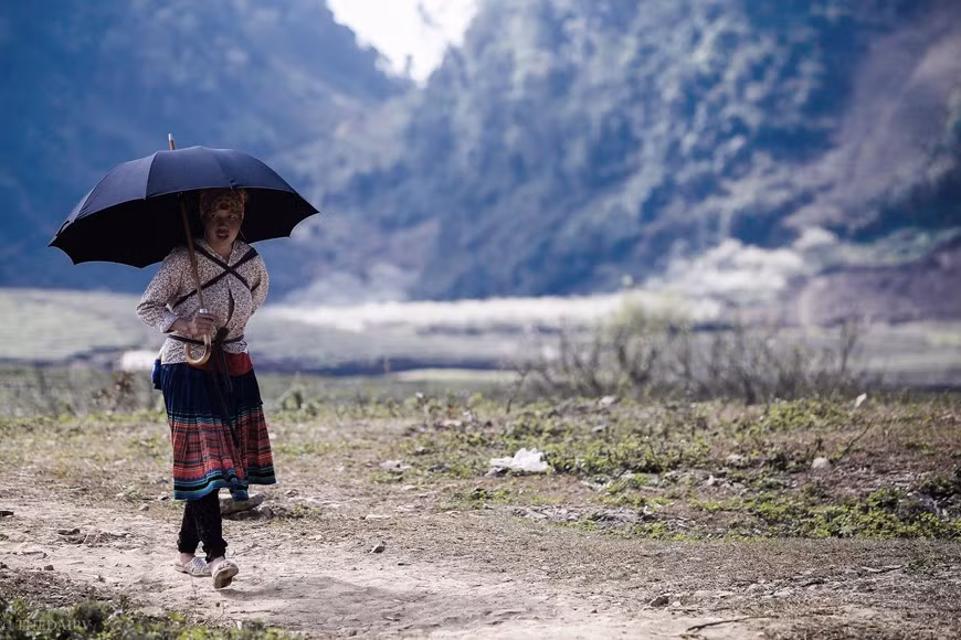  La beauté d'une femme de minorités ethniques à Son La. Actuellement, pour répondre au besoin des jeunes touristes, des habitants cherchent à faire du petit commerce en aménageant des vergers de pruniers au service de la photographie. Ils ont planté, sous les pieds des pruniers en rangée, des moutardes ou des colzas. Au printemps, les pruniers, les moutardes et les colzas fleurissent en même temps. Si le prunier donne des fleurs blanches, les autres ont des fleurs jaunes, ce qui forme un très beau paysage pour les amoureux de photographie. Les habitants du plateau sont majoritairement de 12 groupes ethniques. Photo: The Dai/Vietnam+