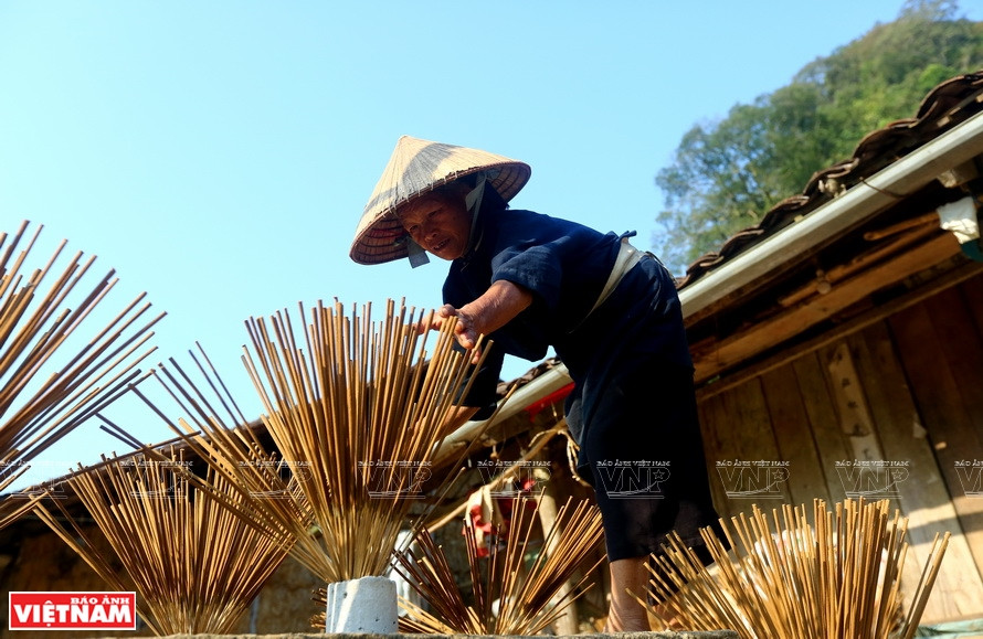 Des bâtonnets d’encens sèchent au soleil après l’enrobage de pâte.