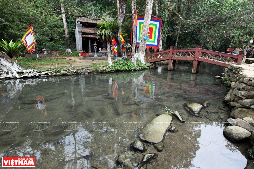 Le ruisseau aux poissons du village de Ngoc séduit les visiteurs par sa beauté naturelle et la légende qui s’y rapporte. 