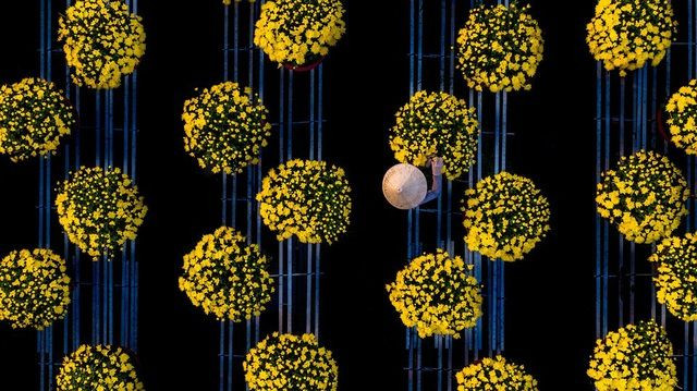 "Soin de fleurs" de @thuanvo