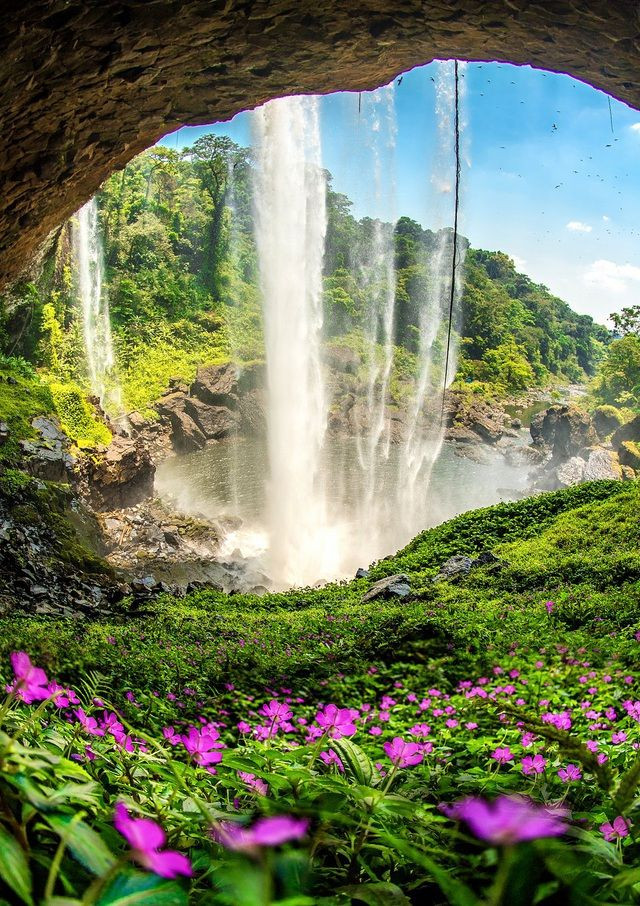 "Cascade K50" de @hoacarol