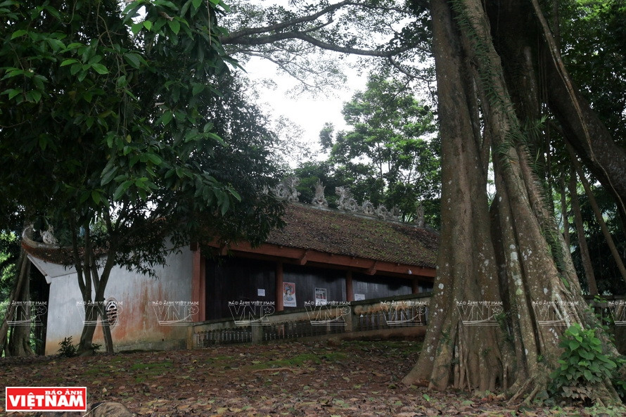 Le temple Tan Viên Son Thanh trône à l’ombre du banian millénaire.