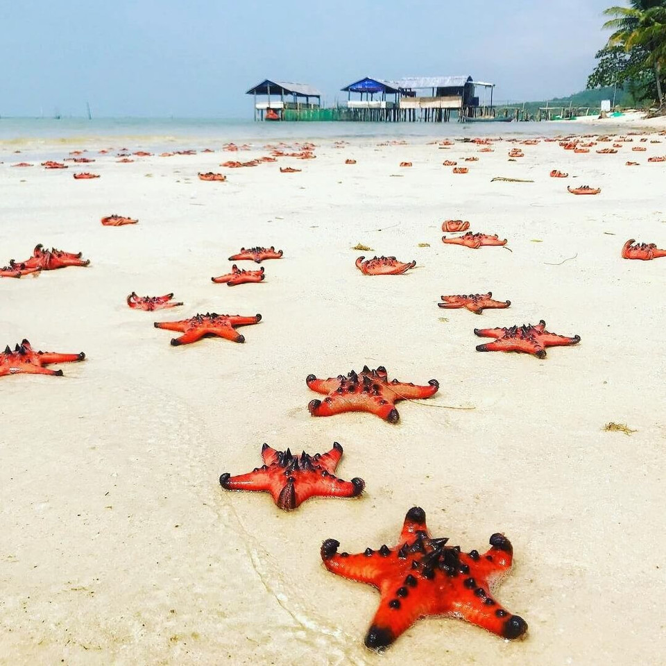 À seulement quelques kilomètres du port d'An Thoi, la plage de Sao a une beauté captivante avec du sable blanc entourant la côte incurvée. Cet endroit est toujours l'une des plages les plus populaires de l'île aux perles, Phu Quoc. Photo: bestprice