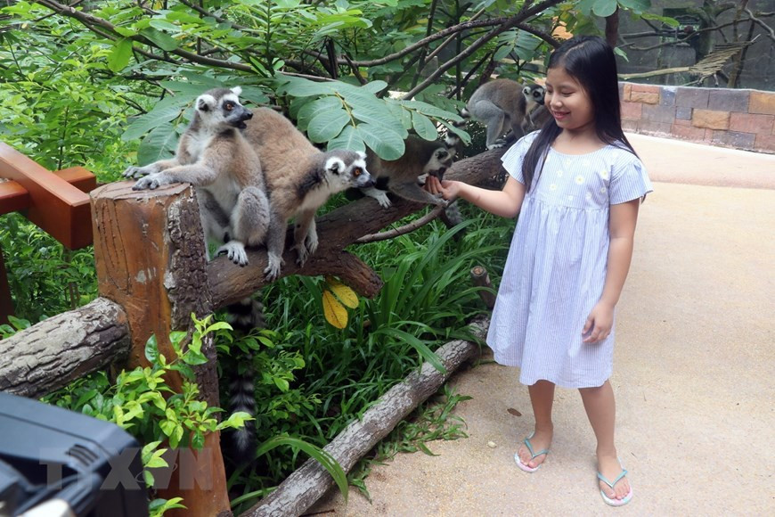 Des animaux à Vinpearl Safari Phu Quoc sont très amicaux avec les touristes.