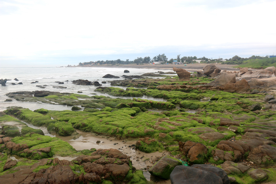 La plage de Co Thach est adjacente à la plage rocheuse unique de sept couleurs au Vietnam.