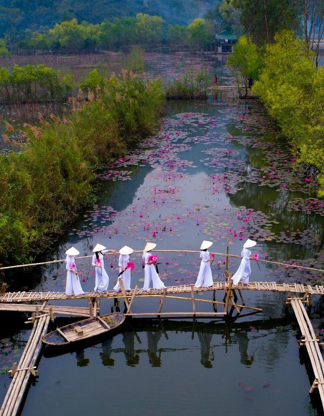 La photo gagnante finale est intitulée "Saison des nénuphars" de @quytran du Vietnam.