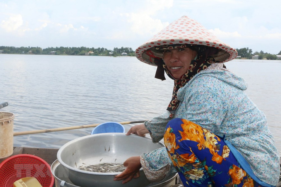 Des poissons linh figurent parmi aussi des spécialités culinaires typiques du delta du Mékong.