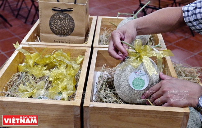  Les cantaloups KimoJi de Delco Farm se vendent sur le marché de 120.000 à 150.000 dongs/kilo.