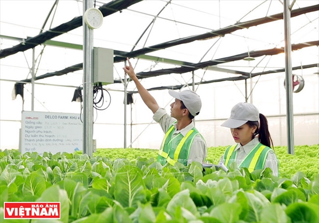  Les ingénieurs de Delco Farm sont présents en permanence dans la ferme pour superviser le fonctionnement du système informatique et le développement de. 