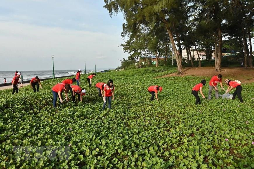 Des employés des resorts ramassent des déchets à la plage de Dôi Duong. Photo: VNA