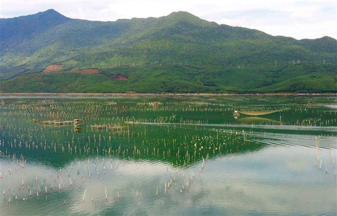  La lagune d’eau saumâtre de Lâp An devient une destination touristique pour les visiteurs. Photo : VNA