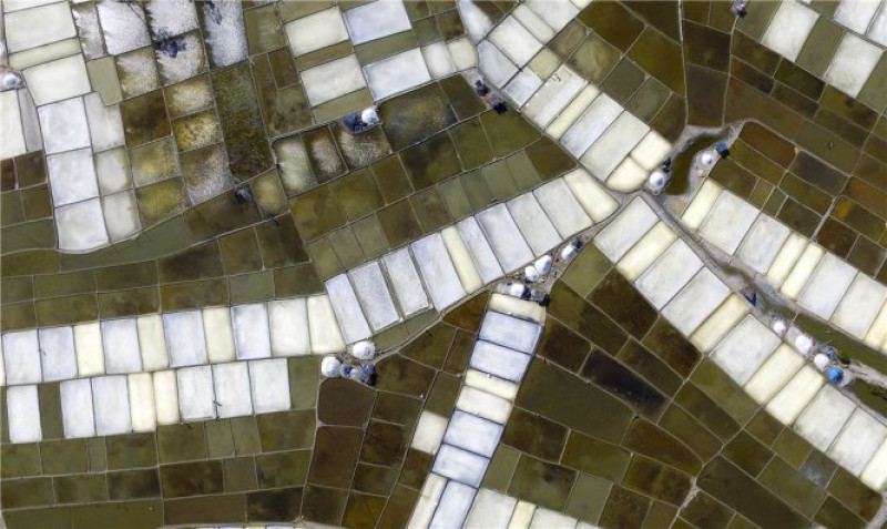 Les deux 2e prix sont allés à "Cánh đồng muối" (Le champ de sel) de Nguyen Tien Dung...