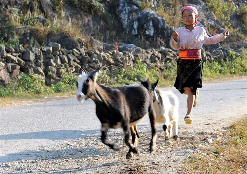 La vie quotidienne des habitants locaux.