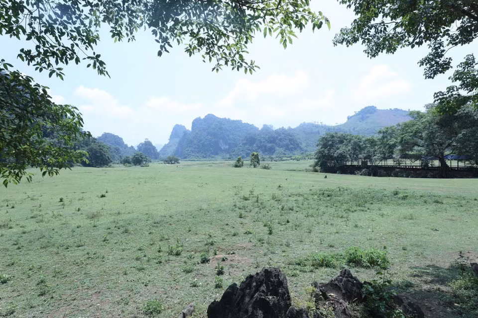 La steppe de Dông Lâm est comme un tapis vert de nature au pied de montagnes calcaires. Photo: VNA 