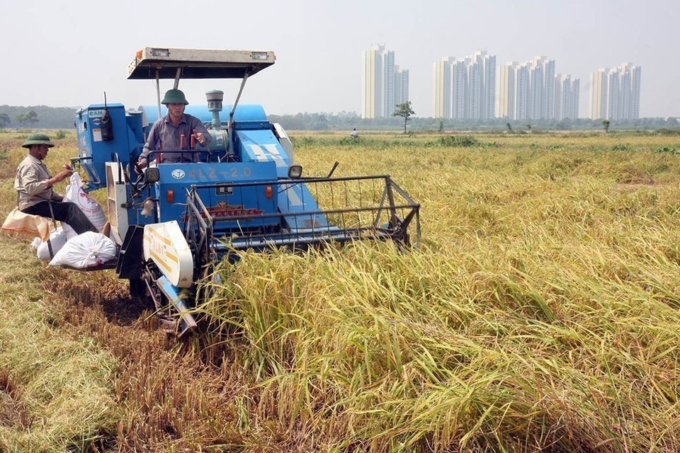 La mécanisation synchrone de la production agricole contribue à la réduction des coûts et à l'augmentation de la productivité dans la commune de Da Tôn, district de Gia Lâm. Photo: VNA