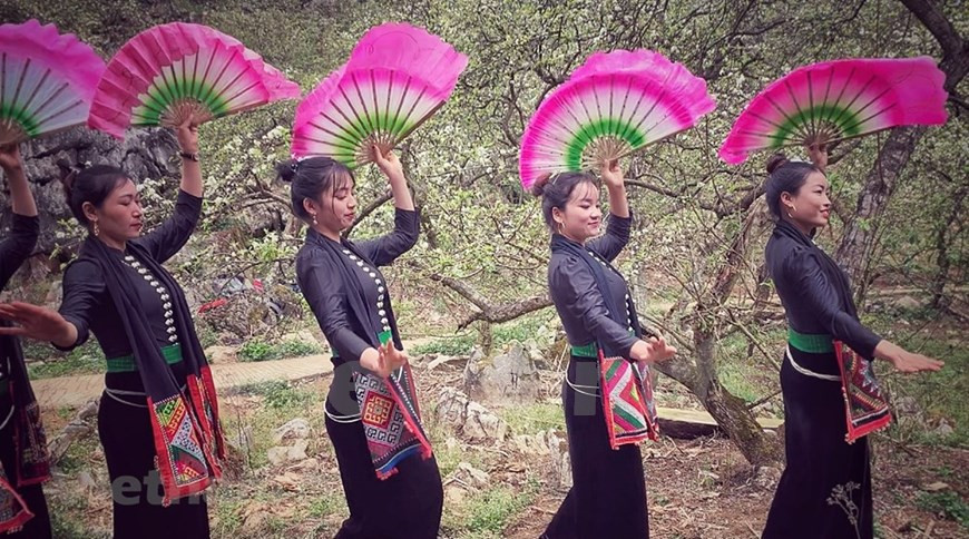 Les filles ethniques Thaï Blanc s'entraînent avant l'heure du spectacle. Le Thaï est la plus grande communauté de la province de Son La, représentant 54% de la population. Les Thaï ont leur propre langue, qui appartient au système linguistique Tay-Thai. Il existe deux groupes Thaï, les Thaïs Blancs et les Thaï Noirs, qui se différencient par leurs costumes et leurs maisons. Traditionnellement, les Thaï Noirs portent un chemisier noir avec un col haut et une jupe noire, tandis que les Thaïs Blancs portent un chemisier blanc avec un col en forme de cœur et une jupe noire. Dans la région du Nord-Ouest, les Thaïs Blancs portent généralement des costumes aux couleurs vives, comme le blanc et le rose. Leur chemisier a des manches courtes et un col en forme de cœur. Photo: Vietnam+