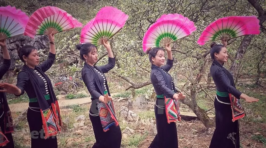 Les filles ethniques Thaï Blanc s'entraînent avant l'heure du spectacle. Le Thaï est la plus grande communauté de la province de Son La, représentant 54% de la population. Les Thaï ont leur propre langue, qui appartient au système linguistique Tay-Thai. Il existe deux groupes Thaï, les Thaïs Blancs et les Thaï Noirs, qui se différencient par leurs costumes et leurs maisons. Traditionnellement, les Thaï Noirs portent un chemisier noir avec un col haut et une jupe noire, tandis que les Thaïs Blancs portent un chemisier blanc avec un col en forme de cœur et une jupe noire. Dans la région du Nord-Ouest, les Thaïs Blancs portent généralement des costumes aux couleurs vives, comme le blanc et le rose. Leur chemisier a des manches courtes et un col en forme de cœur. Photo: Vietnam+