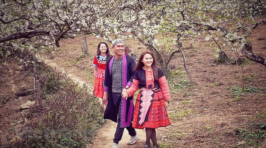 Au printemps, la fleur de prunier recouvre le plateau de Moc Chau d'une couleur fragile et immaculée. Les visiteurs sont émerveillés après avoir visité l'endroit. En venant à Mu Nau, les visiteurs ont non seulement la chance de profiter d'un climat frais, mais aussi de voir d'immenses jardins de pruniers couverts de nuages toute l'année. La route vers la vallée de Mu Nau est assez difficile avec de nombreuses pentes raides ; néanmoins, les visiteurs seront sûrement compensés par ses paysages à couper le souffle. Les motos sont le seul moyen d'atteindre Mu Nau depuis la ville de Moc Chau. Depuis l'intersection de Moc Chau, vous pouvez louer un taxi moto jusqu'à Mu Nau. Photo: Vietnam+