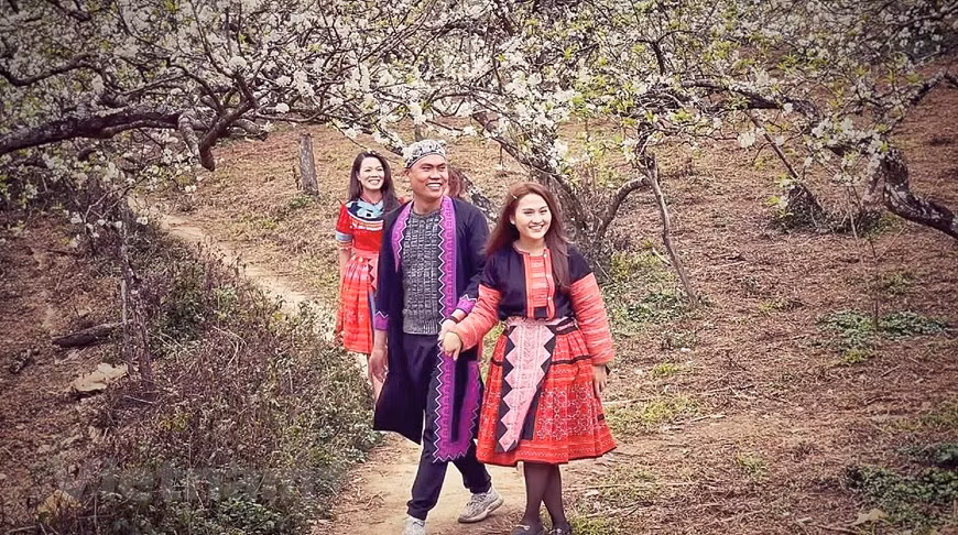 Au printemps, la fleur de prunier recouvre le plateau de Moc Chau d'une couleur fragile et immaculée. Les visiteurs sont émerveillés après avoir visité l'endroit. En venant à Mu Nau, les visiteurs ont non seulement la chance de profiter d'un climat frais, mais aussi de voir d'immenses jardins de pruniers couverts de nuages toute l'année. La route vers la vallée de Mu Nau est assez difficile avec de nombreuses pentes raides ; néanmoins, les visiteurs seront sûrement compensés par ses paysages à couper le souffle. Les motos sont le seul moyen d'atteindre Mu Nau depuis la ville de Moc Chau. Depuis l'intersection de Moc Chau, vous pouvez louer un taxi moto jusqu'à Mu Nau. Photo: Vietnam+