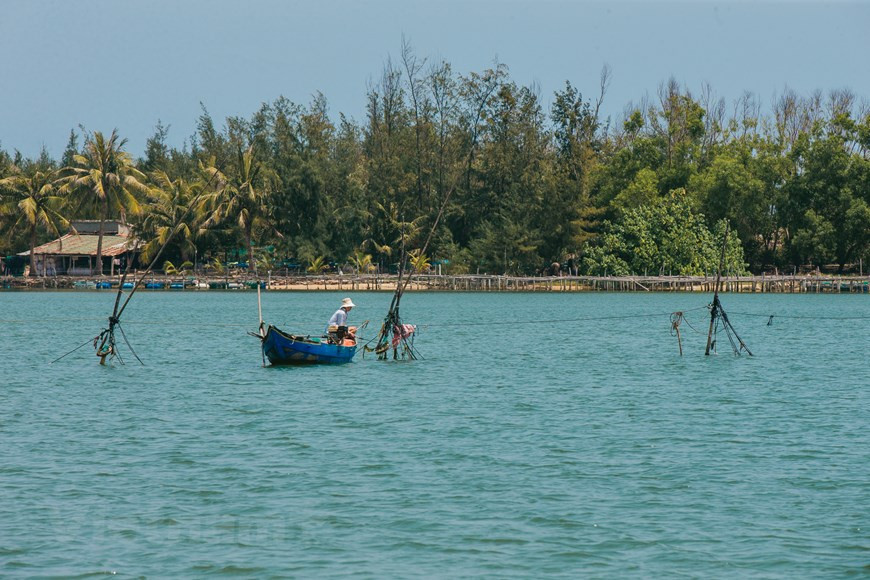 Le marais d’Ô Loan. Ô Loan est un marais d’eau saumâtre du district de Chi Thanh, province de Phu Yên (Centre). Situé au pied du col de Quan Cau sur la Nationale 1A, à 22 km au nord de la ville de Tuy Hoà, le marais d'Ô Loan apparaît immense et attire le regard des passagers empruntant cette Nationale. Un grand lac, ondulant sous le vent, des champs de cannes à sucre sur les collines, des bancs de sable et des massifs de casuarinas. C’est le refuge de nombreux oiseaux migrateurs. Ô Loan est un marais de 17,5 km² et d’une profondeur moyenne de 1,2 à 1,4 m. Pendant la saison des pluies, la profondeur peut atteindre 3 mètres. La rivière Cai et certaines petites rivières l’approvisionnent en eau douce. L’eau salée entre à la marée montante, car le marais a un chenal relié à la mer. Grâce à des conditions favorables, la circulation continue de l’eau salée et de l’eau douce, les fruits de mer du marais sont abondants. Les visiteurs peuvent ressentir toute la beauté de ce coin de nature sauvage et ses ressources halieutiques abondantes. Photo : VietnamPlus 