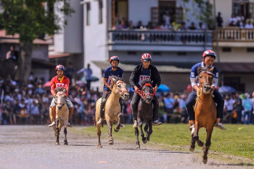Les vénérables du district de Bac Ha, (au nord-est de la province septentrionale de Lao Cai) racontent que sous le régime féodal au Vietnam, cette course hippique était souvent organisée lors de chaque campagne de recrutement des soldats. Les jockeys se livraient à une course effrénée en traversant les flancs de montagne pour tenter, munis d'un arc et de flèches, d'atteindre en premier la cible-un objet miraculeux placé à 15 m de l'arrivée-, puis ensuite de retourner à la ligne de départ pour être proclamé champion ! En temps de paix, la course de chevaux était maintenue dans les pâturages. Photo: VietnamPlus 