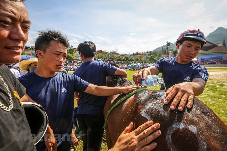 Selon le président du Comité populaire du district de Bac Ha, Nguyên Quôc Huy, la course de chevaux traditionnelles de Bac Ha sont "l’une des activités centrales de la vie locale et permettent d’honorer les valeurs culturelles des minorités ethniques de ce district montagneux". Et d’ajouter que l’édition 2020 "contribue également à promouvoir le tourisme de notre district après la pandémie de COVID-19". À cette occasion, les locaux promeuvent les relations étroites entre l’homme et l’animal qui fait partie intégrante de la vie quotidienne et spirituelle. La course de chevaux de Bac Ha contribue activement à la promotion du tourisme local. Photo: VietnamPlus