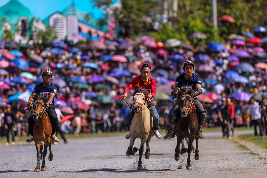 Les courses de chevaux de Bac Ha dans la province de Lao Cai (Nord) ont non seulement un terrain de jeu pour les cavaliers aux pieds nus, mais aussi une activité culturelle importante qui contribue à attirer de nombreux touristes nationaux et étrangers. En 2007, cette grande manifestation a été restaurée et organisée comme une compétition sportive. Les équidés participants sont des chevaux de trait qui transportent chaque jour des matériaux de construction et des marchandises. Un mois avant la tenue de la course, ces chevaux sont libérés de leurs travaux journaliers pour qu'ils puissent être familiarisés avec la piste. Photo: VietnamPlus 