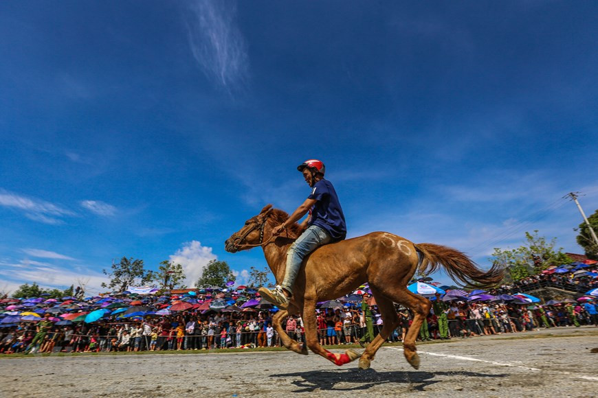 Chaque année, l’originalité des courses de chevaux traditionnelles de Bac Ha a séduit un grand nombre de visiteurs vietnamiens comme et étrangers. Le public expérimente alors un large panel d’émotions : il retient son souffle lorsqu’un cheval s’éloigne de la piste et fonce droit vers les barrières, il est bouleversé lorsqu’un cavalier tombe à terre et éclate de joie lorsque le cheval qu’il encourage dépasse ses adversaires de façon spectaculaire. Sans but lucratif, cette course est une course d’amateurs, celle des agriculteurs et de leurs chevaux de bât. Les cavaliers n’ont pas de selle, ni d’étrier mais seulement une sangle de fixation attachée au cheval ainsi qu’une corde liée au mord pour contrôler l’animal. Photo: VietnamPlus 