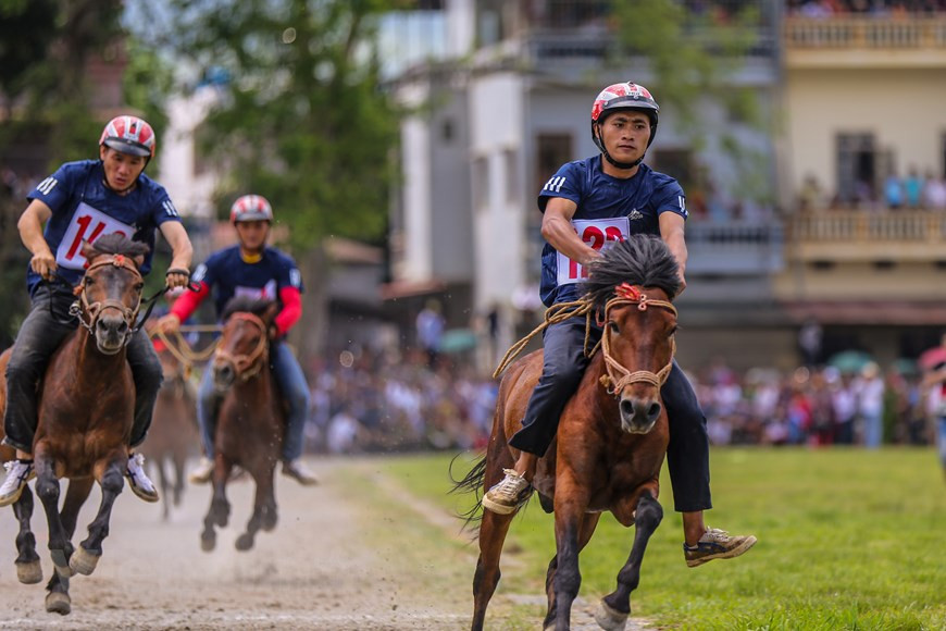 Des jockeys ont bien préparé des équipements de protection nécesaires pour être prêts à la course de chevaux. Des cavaliers n’ont pas besoin d’harchais, ni d’étrier… Il suffit de faire de leur mieux pour apporter de la gloire à leur village. Ainsi, tous les villageois vivent dans la joie de la victoire. Après la course, les hommes retournent à leur travail quotidien et continuent de se lier d’amitié avec leurs bêtes durant les tâches agricoles. Rendez-vous dans un an pour la prochaine course ! ….Chaque jour, après les heures de travail, les agriculteurs-cavaliers et leur cheval continuent à entraîner ensemble pour la course de l’année qui vient. Photo: VietnamPlus