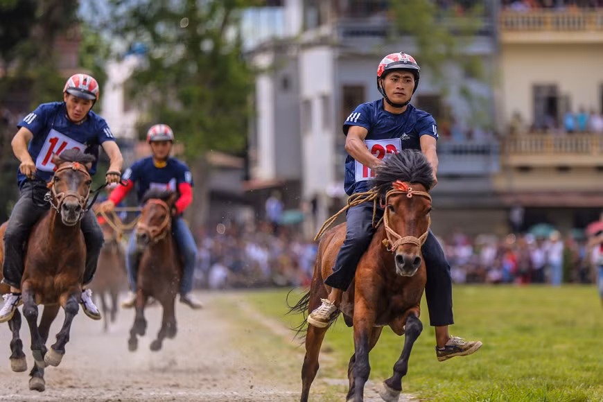 Des jockeys ont bien préparé des équipements de protection nécesaires pour être prêts à la course de chevaux. Des cavaliers n’ont pas besoin d’harchais, ni d’étrier… Il suffit de faire de leur mieux pour apporter de la gloire à leur village. Ainsi, tous les villageois vivent dans la joie de la victoire. Après la course, les hommes retournent à leur travail quotidien et continuent de se lier d’amitié avec leurs bêtes durant les tâches agricoles. Rendez-vous dans un an pour la prochaine course ! ….Chaque jour, après les heures de travail, les agriculteurs-cavaliers et leur cheval continuent à entraîner ensemble pour la course de l’année qui vient. Photo: VietnamPlus