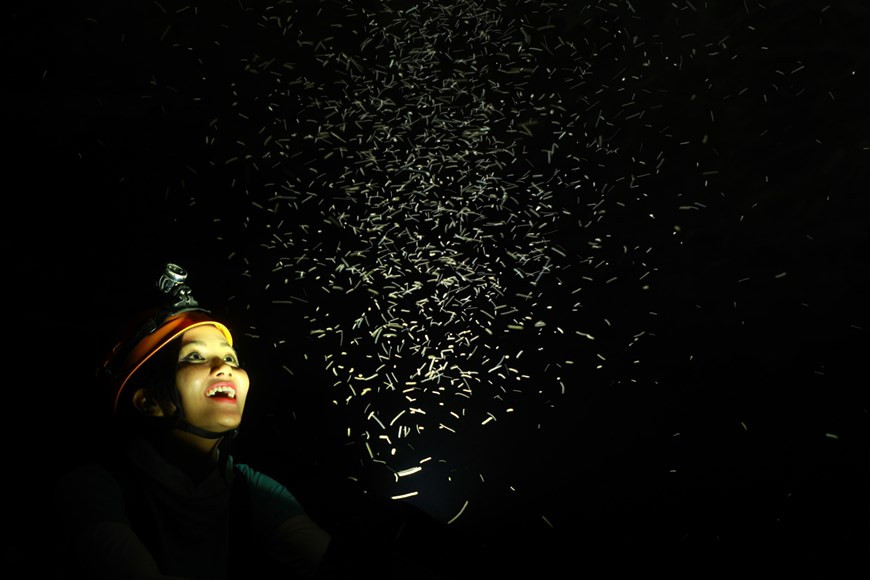 Des œuvres magnifiques créées par la nature dans la grotte Son Doong, la plus grande grotte de la planète située dans la province centrale de Quang Binh. Les cavités de Son Doong hébergent un écosystème unique. Une forêt vierge s’épanouit en son sein avec de nombreuses espèces d’arbres tropicaux comme fougères, cocotiers ou lataniers. Son Doong fait partie d’un réseau de quelque 150 grottes dans la cordillère Truong Son. Une rivière souterraine d’environ 8 km l’a creusée voilà deux à cinq millions d’années. Les puits de lumière éclairent les stalagmites colossales… Cette configuration fait du site l’un des plus beaux chefs-d’œuvre de la nature. Photo : Hai An/Vietnam+ 
