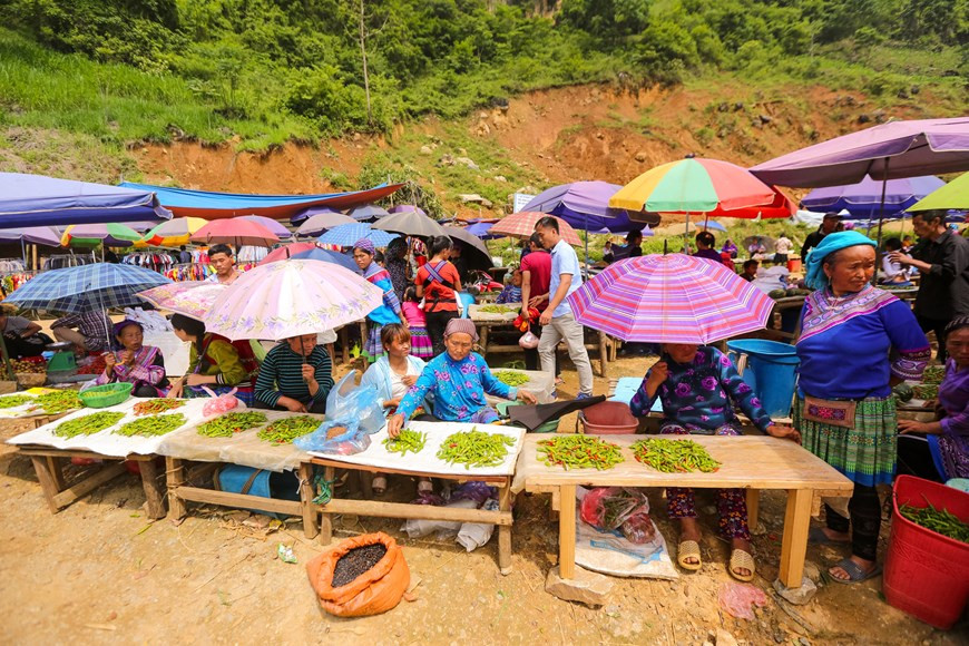 Le marché est organisé par types de marchandises. Un coin pour le riz ou le maïs, un autre pour les tissus et vêtements, un troisième pour les légumes, etc... Certains étals ne vendent que des spécialités locales comme piments, cardamome, canne à sucre... Les marchandises sont abondantes, notamment les produits agricoles. Le marché de Cân Câu offre une vue générale de tout ce qui s’élève ou se cultive dans la région Nord-Ouest. D’après les H’Mông de la commune de Can Câu (district de Si Ma Cai), le commerce des buffles est l'un des principaux moyens de s’extraire de la pauvreté. C’est même devenu le fer de lance de l’économie locale. Photo : Minh Son/Vietnam+ 