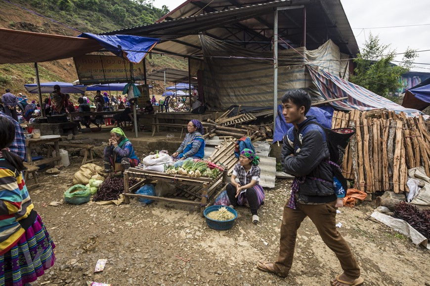 Le marché se divise en trois secteurs, le plus large est réservé au bétail. Les buffles sont majoritaires mais il y a aussi des chèvres et chevaux. Ce marché au buffle est le plus grand du Nord-Ouest. A ce marché, les transactions sont très rapides. Vers 07h00, le marché débute sur une large étendue plate au sommet d’une colline. Des centaines de buffles, scrutés sous toutes les coutures. Des femmes de l'ethnie H’Mông, en robe de brocatelles, portant leurs enfants sur le dos, attendent avec leurs maris les acheteurs. Une foule colorée, éclectique, avec parmi les Vietnamiens d’ethnies H’Mông et Kinh, des Chinois venus du Yunnan voisin. Photo : Minh Son/Vietnam+ 