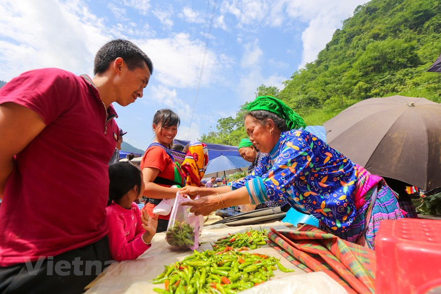 Lorsque les fleurs de pêcher s’épanouissent sur les flancs des montagnes de la région Nord-Ouest, il est temps d’aller découvrir le marché de Can Câu, dans le district de Si Ma Cai, province septentrionale de Lao Cai. Les couleurs chatoyantes des vêtements traditionnels des nombreuses ethnies vivant au Nord-Ouest comme H'mong, Giay... se mêlent aux hennissements des chevaux et aux rires des montagnards. Ce marché se tient une fois par semaine, le samedi, sur une colline à côté de la route menant à la commune de Cân Câu. Dès potron-minet, les chemins rocailleux sont encombrés de gens et de chevaux transportant de lourds baluchons. Photo : Minh Son/Vietnam+